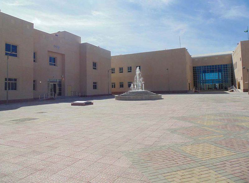 إنشاء الكلية الجامعية للبنات بالوجه