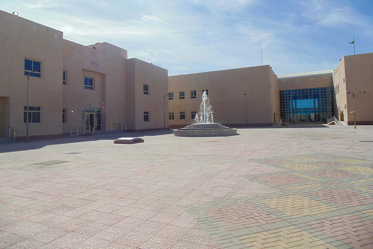 إنشاء الكلية الجامعية للبنات بالوجه