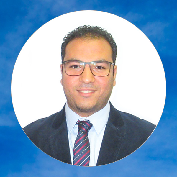 المهندس محمد إسماعيل
